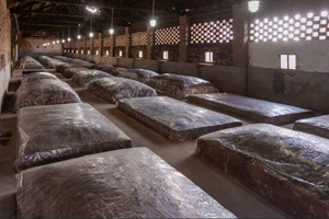 料酒和白酒有什么區別